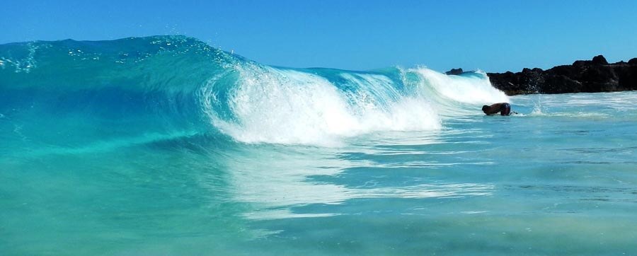 Warm water waves breaking in Hawaii