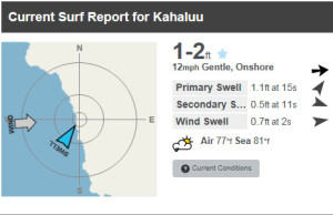 surf report for kahaluu bay in kona, hawaii