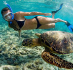snorkeling with sea turtuel in Kona, Hawaii