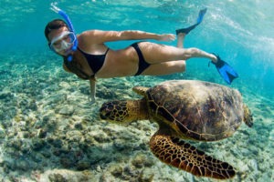 snorkeling with honu (sea turtle) in Kona, Hawaii