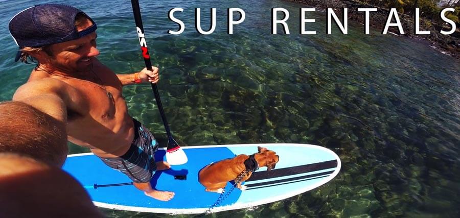 man and dog stand up paddle board in Kona, Hawaii